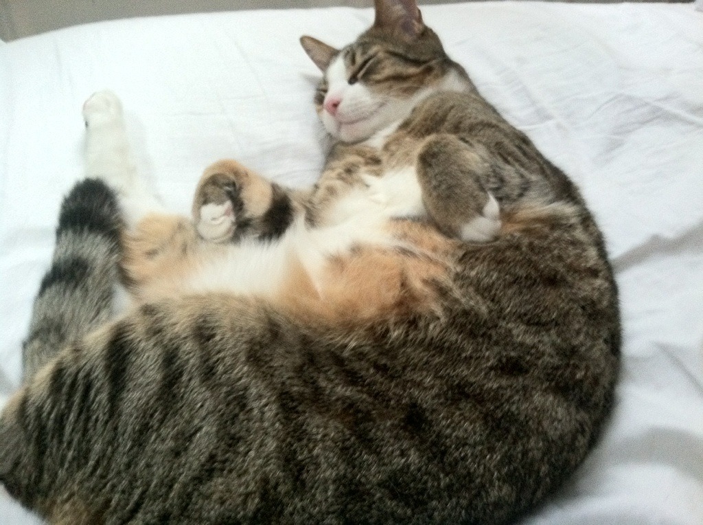 kaiyun.com-国际名宿助阵中国足球，传授宝贵经验，中国足球民宿