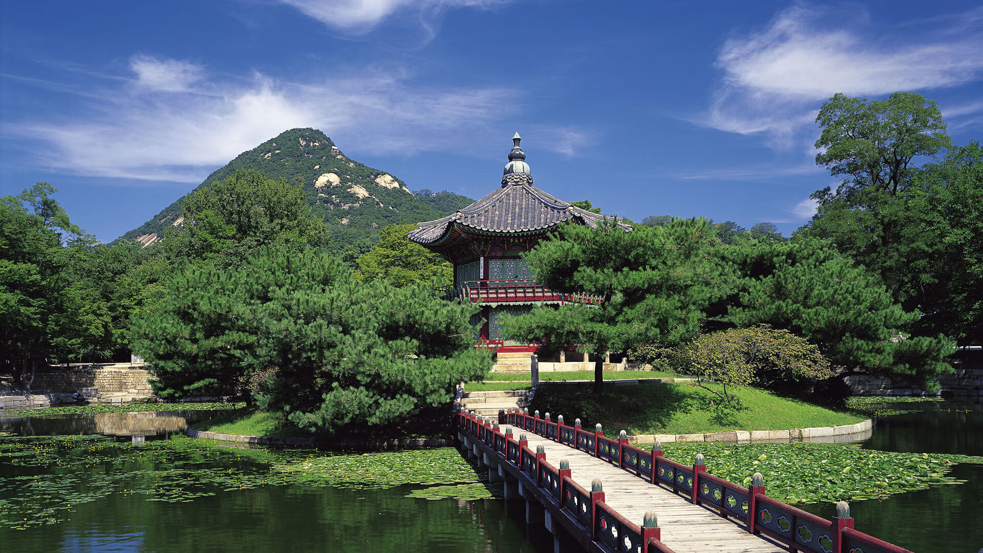 kaiyun开云·官方网站-大型骑行节，绿色出行焕发新活力，绿色骑行环保先行